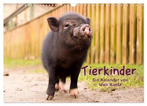 Tierkinder (Wandkalender 2025 DIN A3 quer), CALVENDO Monatskalender