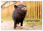 Tierkinder (Wandkalender 2025 DIN A4 quer), CALVENDO Monatskalender