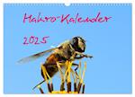 Makro-Kalender 2025 (Wandkalender 2025 DIN A3 quer), CALVENDO Monatskalender