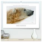 Emotionale Momente: Der Eisbär. (hochwertiger Premium Wandkalender 2025 DIN A2 quer), Kunstdruck in Hochglanz