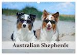 Wunderbare Australian Shepherds (Wandkalender 2025 DIN A3 quer), CALVENDO Monatskalender