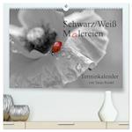 Schwarz-Weiß Malereien Terminkalender von Tanja Riedel für die Schweiz (hochwertiger Premium Wandkalender 2025 DIN A2 quer), Kunstdruck in Hochglanz