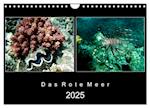 Das Rote Meer ¿ 2025 (Wandkalender 2025 DIN A4 quer), CALVENDO Monatskalender