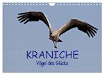 Kraniche - Vögel des Glücks (Wandkalender 2025 DIN A4 quer), CALVENDO Monatskalender