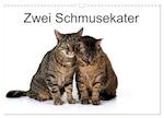 Zwei Schmusekater (Wandkalender 2025 DIN A3 quer), CALVENDO Monatskalender