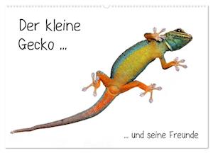 Der kleine Gecko und seine Freunde (Wandkalender 2025 DIN A2 quer), CALVENDO Monatskalender