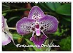 Farbenreiche Orchideen (Wandkalender 2025 DIN A3 quer), CALVENDO Monatskalender