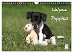 Welpen - Puppies (Wandkalender 2025 DIN A4 quer), CALVENDO Monatskalender