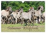 Dülmener Wildpferde (Wandkalender 2025 DIN A4 quer), CALVENDO Monatskalender