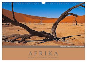 Afrika Impressionen. NAMIBIA - SÜDAFRIKA - BOTSWANA (Wandkalender 2025 DIN A3 quer), CALVENDO Monatskalender