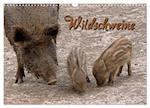 Wildschweine (Wandkalender 2025 DIN A3 quer), CALVENDO Monatskalender