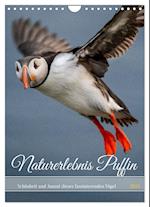 Naturerlebnis Puffin (Wandkalender 2025 DIN A4 hoch), CALVENDO Monatskalender