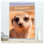 Erdmännchen - Eine Kolonie in der Kalahari (hochwertiger Premium Wandkalender 2025 DIN A2 hoch), Kunstdruck in Hochglanz