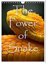 The Power Of Snake (Wandkalender 2025 DIN A4 hoch), CALVENDO Monatskalender