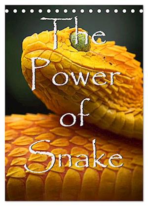 The Power Of Snake (Tischkalender 2025 DIN A5 hoch), CALVENDO Monatskalender