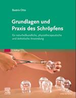 Grundlagen und Praxis des Schropfens