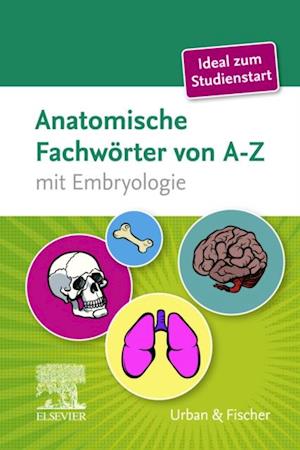 Anatomische Fachwörter von A-Z