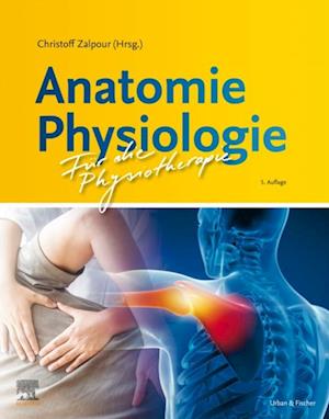 Anatomie Physiologie für die Physiotherapie