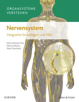 Organsysteme verstehen: Nervensystem