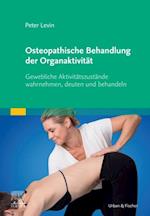 Osteopathische Behandlung der Organaktivität