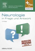 Neurologie in Frage und Antwort