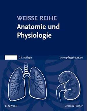 Anatomie und Physiologie