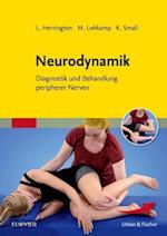 Neurodynamik