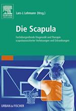 Die Scapula