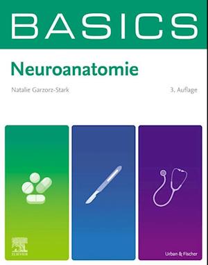 BASICS Neuroanatomie