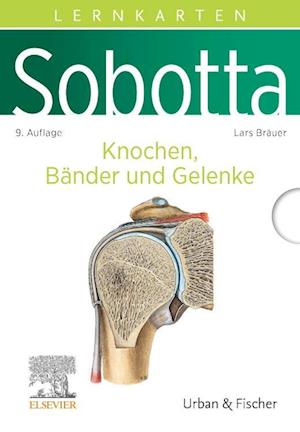 Sobotta Lernkarten Knochen, Bänder und Gelenke