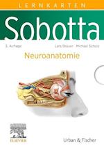 Sobotta Lernkarten Neuroanatomie