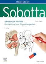 Sobotta Arbeitsbuch Muskeln