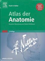 Atlas Der Anatomie