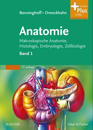 Benninghoff, Drenckhahn, Anatomie