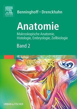 Anatomie 2