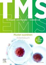 TMS und EMS 2023/24. Arbeitsbuch Muster zuordnen