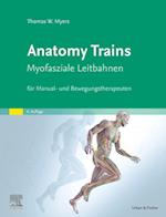 Anatomy Trains