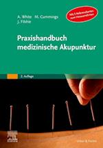 Praxishandbuch medizinische Akupunktur