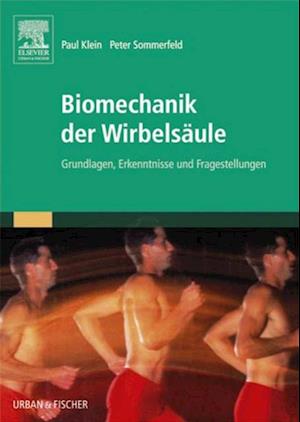 Biomechanik der Wirbelsäule