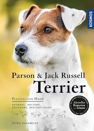 Parson und Jack Russell Terrier
