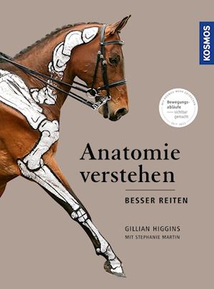 Anatomie verstehen - besser reiten