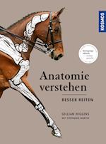 Anatomie verstehen - besser reiten