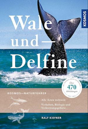 Wale und Delfine