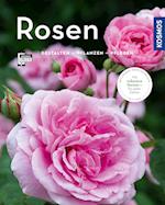 Rosen (Mein Garten)
