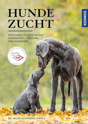 Hundezucht