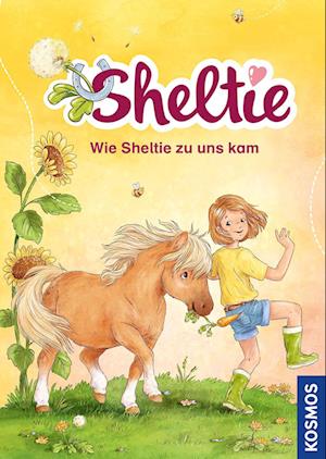 Sheltie - Wie Sheltie zu uns kam