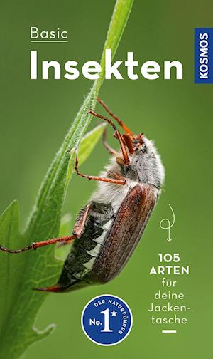 BASIC Insekten