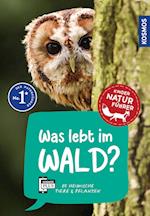 Was lebt im Wald? Kindernaturführer