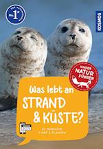 Was lebt an Strand und Küste? Kindernaturführer