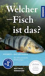 Welcher Fisch ist das?